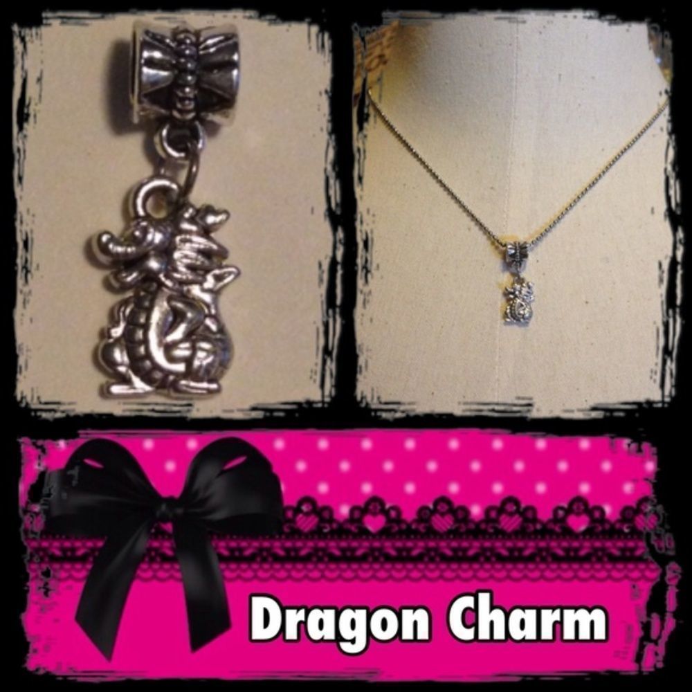 🦄5 for $35🦄 Dragon Charm